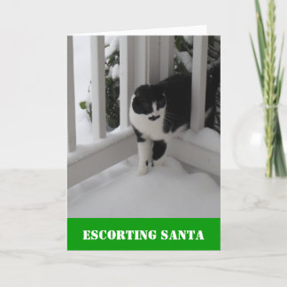 De Festividades Acompanhando o cartão do papai noel pelo gato das