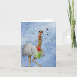 De Festividades Animais Feriados Incomuns: Cartão Ostrich 4"x5.6"