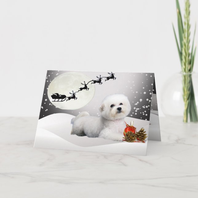 De Festividades Bichon Frise um cartão do Feliz Natal (Frente)