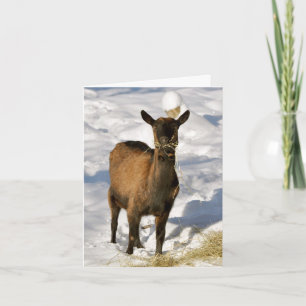De Festividades Cabra no cartão do Xmas da neve