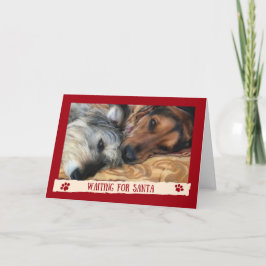 De Festividades Cães Esperando pelo Papai Noel - Cartão Divertido 