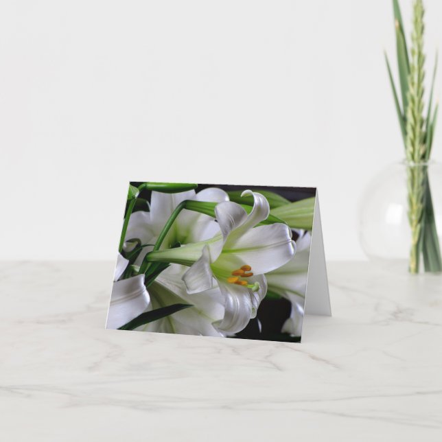 De Festividades Cartão #1 00678900 da páscoa (Frente)