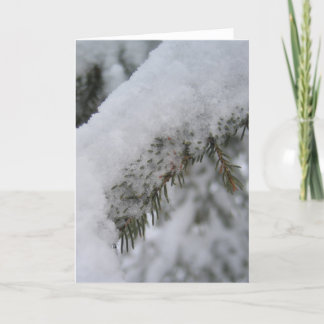 De Festividades Cartão 1 do inverno