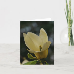 De Festividades Cartão Amarelo Magnolia