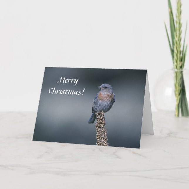 De Festividades Cartão / Bluebird Ocidental / Feliz Natal! (Frente)