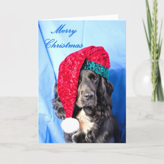 De Festividades Cartão bonito do Feliz Natal do cão