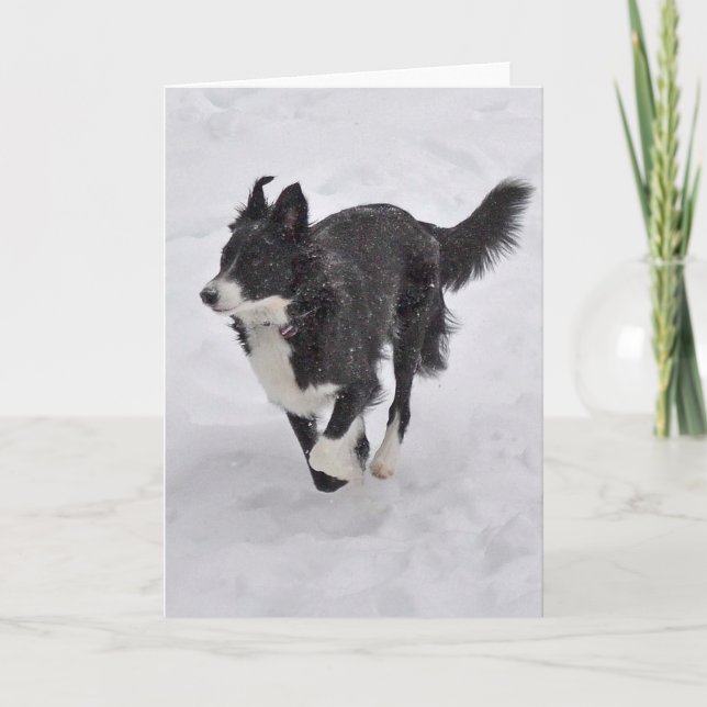 De Festividades Cartão - border collie que funciona através da (Frente)