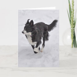 De Festividades Cartão - border collie que funciona através da