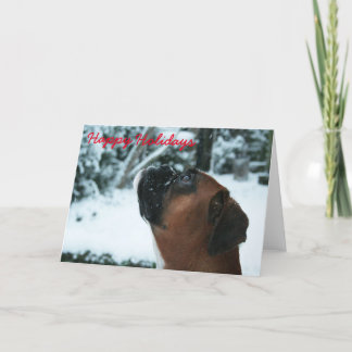 De Festividades Cartão Boxer Dog Happy Holidays