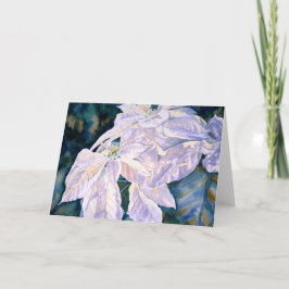 De Festividades Cartão branco da poinsétia