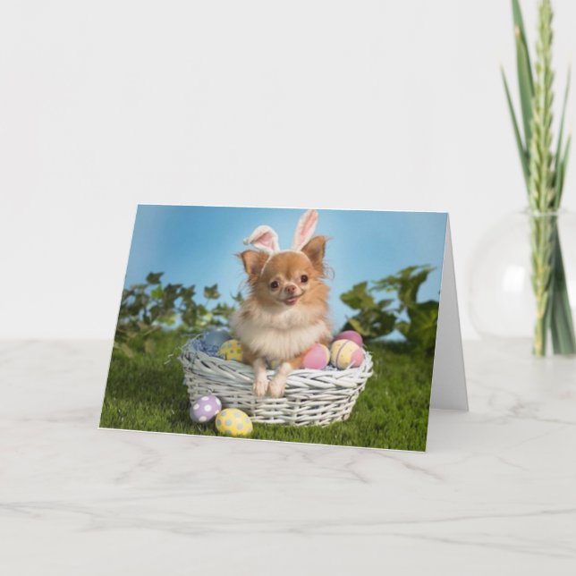 De Festividades Cartão Bunny Chihuahua Páscoa (Frente)