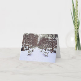 De Festividades Cartão 'Central Park no Inverno' - Beleza/Paz