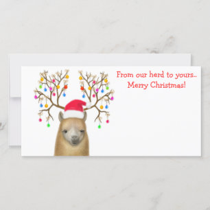 De Festividades Cartão com fotos Alpaca Xmas