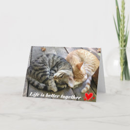 De Festividades Cartão com gatos - vazio do dia dos namorados