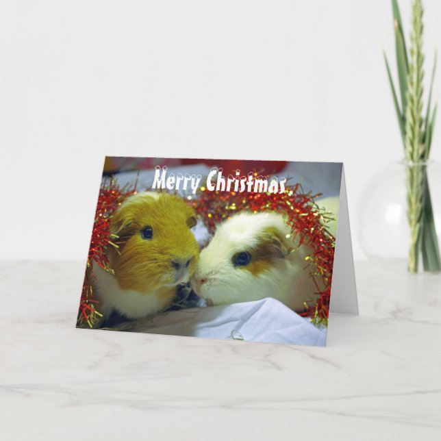 De Festividades Cartão da cobaia do Feliz Natal (Frente)