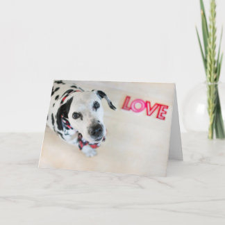 De Festividades Cartão Dalmatian dos namorados do amor