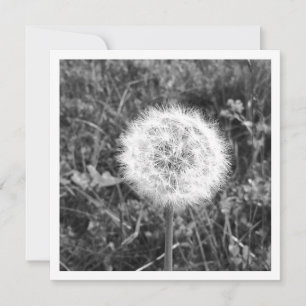 De Festividades Cartão dandelion personalizado