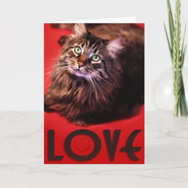 De Festividades Cartão do AMOR (Frente)
