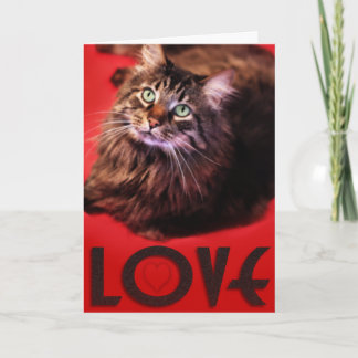 De Festividades Cartão do AMOR