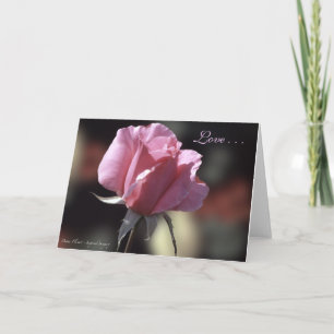 De Festividades Cartão do amor do rosa do rosa