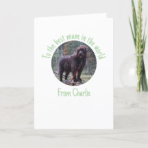 Cartão do Dia das Mães do Cachorro