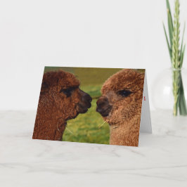 De Festividades Cartão do dia dos namorados do amor BFF da alpaca