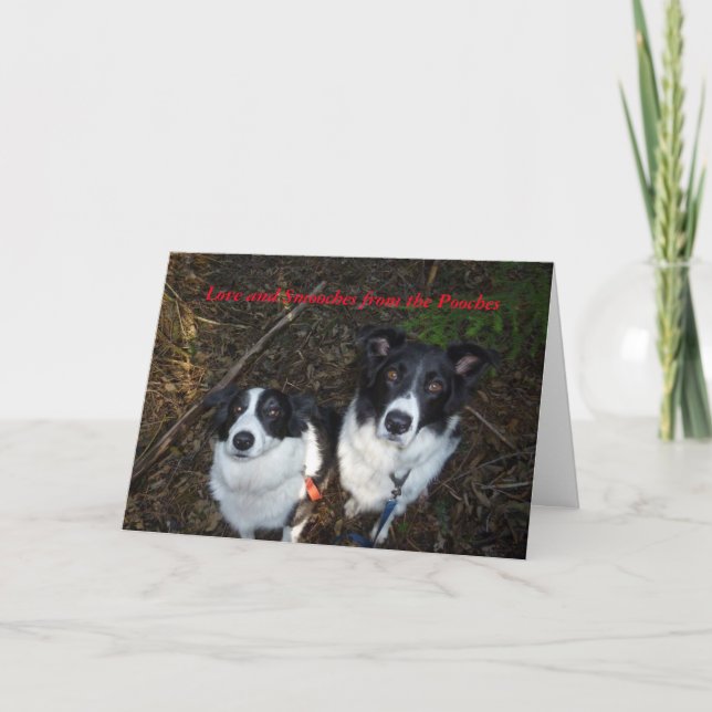 De Festividades Cartão do dia dos namorados dos cães (Frente)