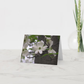 De Festividades Cartão do Dogwood (Cornus florida)