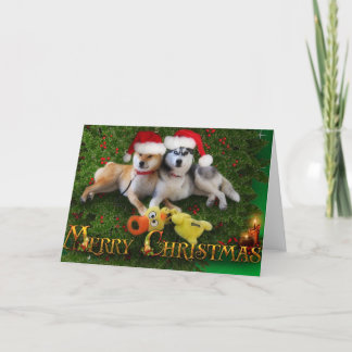 De Festividades Cartão do Feliz Natal do cão