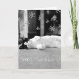 De Festividades Cartão do Feliz Natal do gatinho