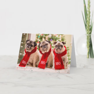 De Festividades Cartão do feriado/Natal do Pug. Minnie, máximo e