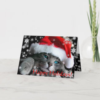 De Festividades Cartão do gatinho do papai noel