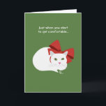 De Festividades Cartão do gato do feriado<br><div class="desc">Envie cartões de natal peluches com este design bonito do gatinho! A parte dianteira diz,  "no exato momento em que você começa obter confortável…" Dentro de diz,  um "outro feriado vem avante!" Personalize-o para seu feriado.</div>