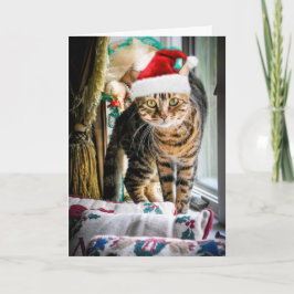 De Festividades Cartão do gato do feriado