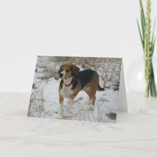 De Festividades Cartão do inverno do lebreiro da neve - cão da