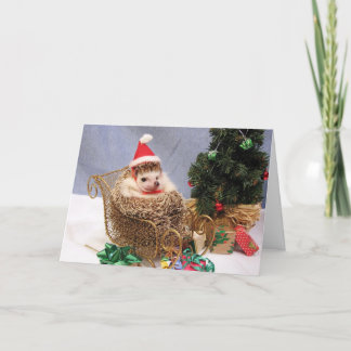 De Festividades Cartão do ouriço do Natal