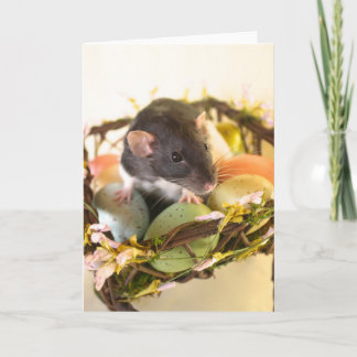De Festividades Cartão do rato do primavera