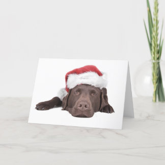 De Festividades Cartão do Xmas Labrador