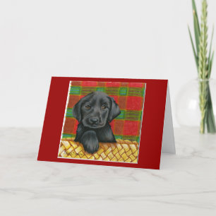 De Festividades Cartão dos namorados do cão