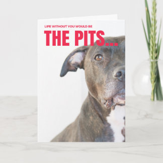 De Festividades Cartão dos namorados para amantes do cão