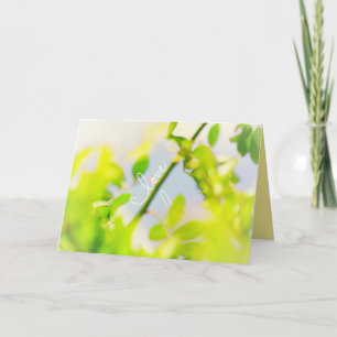 De Festividades Cartão Folhas Verdes Céu Azul Te Amo Sempre