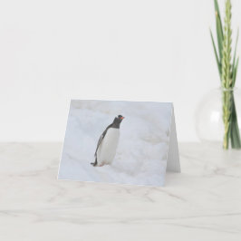 De Festividades Cartão Gentoo penguin (Neko)