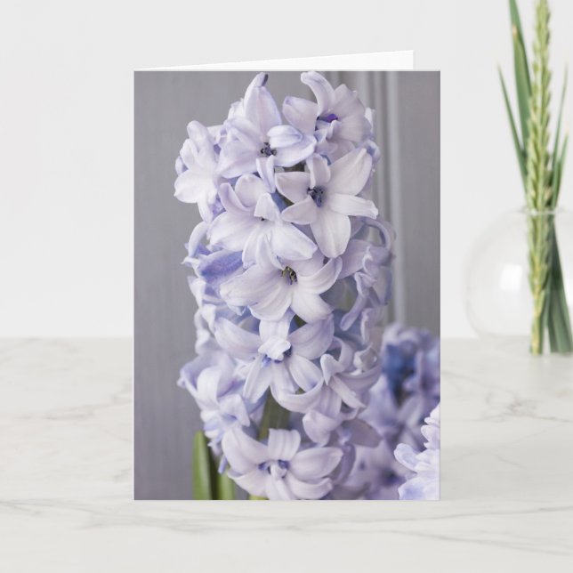 De Festividades Cartão Hyacinth (Frente)