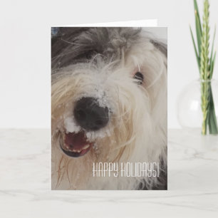 De Festividades Cartão inglês velho do Sheepdog - boas festas!