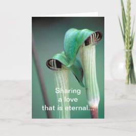 De Festividades Cartão / Jack-in-the-pulpit