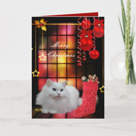 De Festividades Cartão Natal Xmas Gato