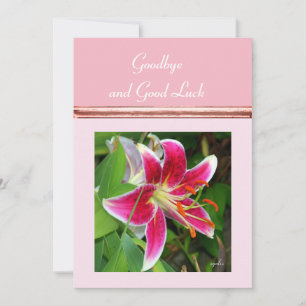 De Festividades Cartão Plano Tchau e Boa Sorte