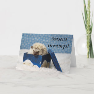 De Festividades Cartão Polar Pog "Sábios Saudações"