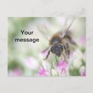 De Festividades Cartão postal