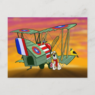 De Festividades Cartão postal Ace Voador da Primeira Guerra Mundia